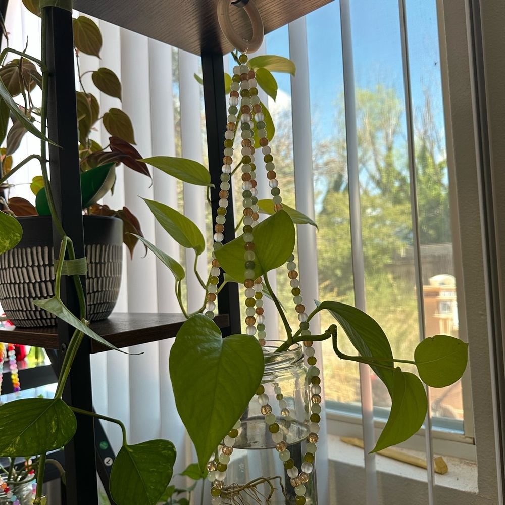 Glass beaded plant hanger